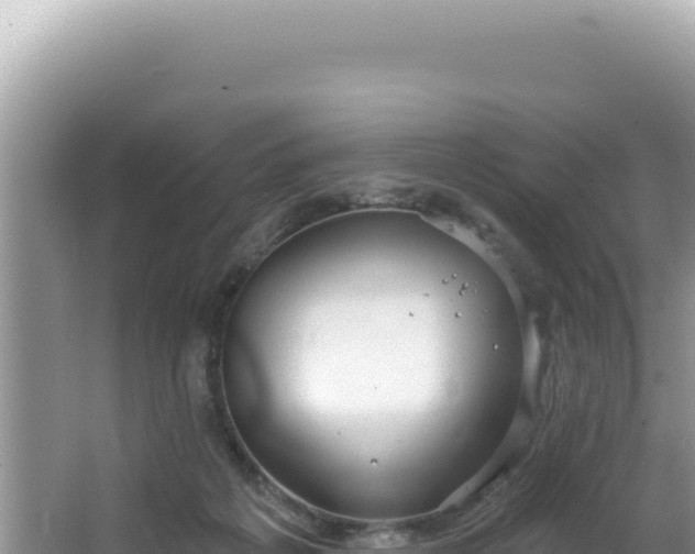 X0000064740217200602131324