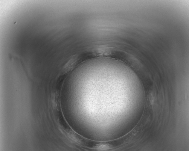 X0000064740218200602131324