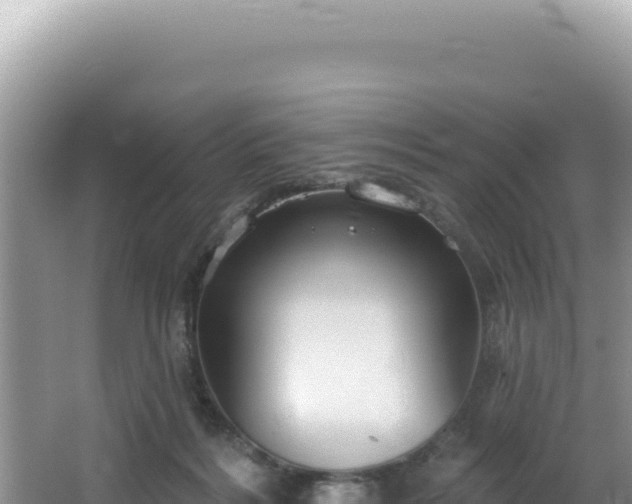 X0000064740220200602131324