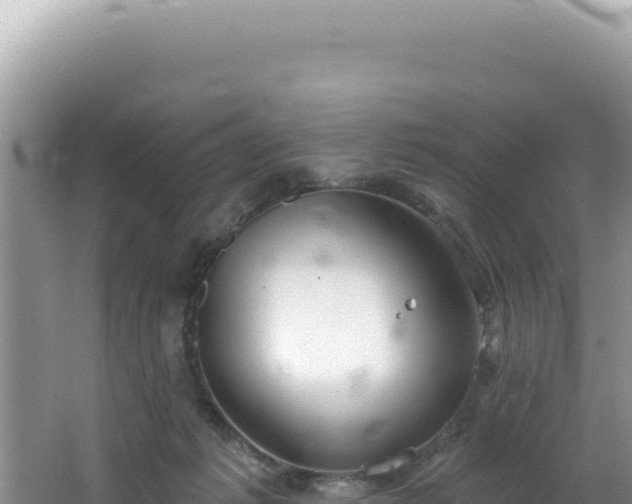 X0000064740221200602131324