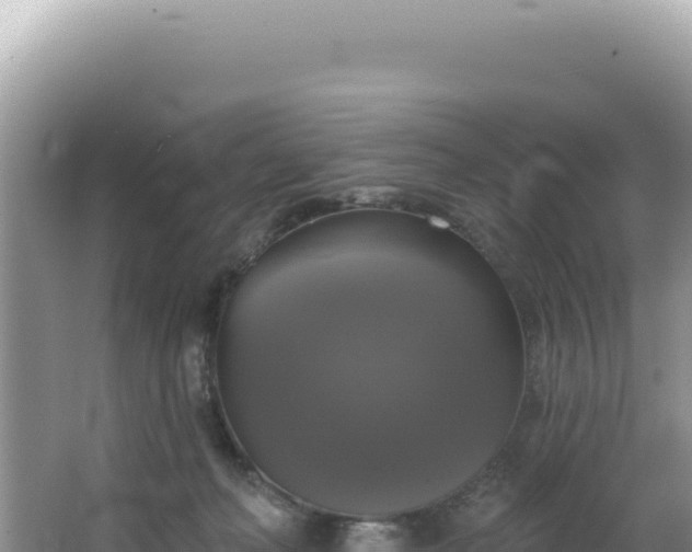 X0000064740222200602131324