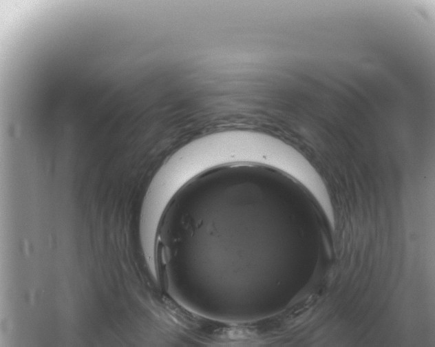 X0000064740223200602131324