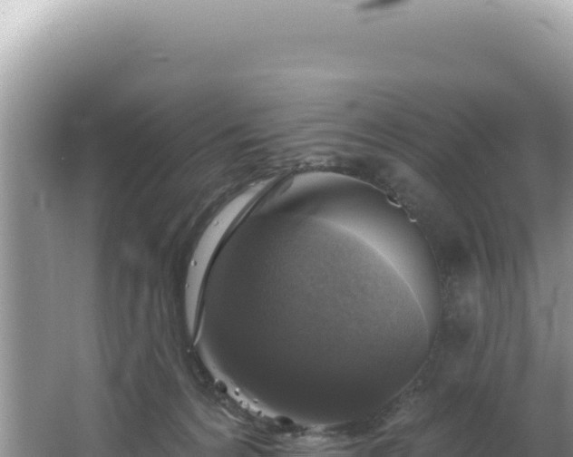 X0000064740224200602131324