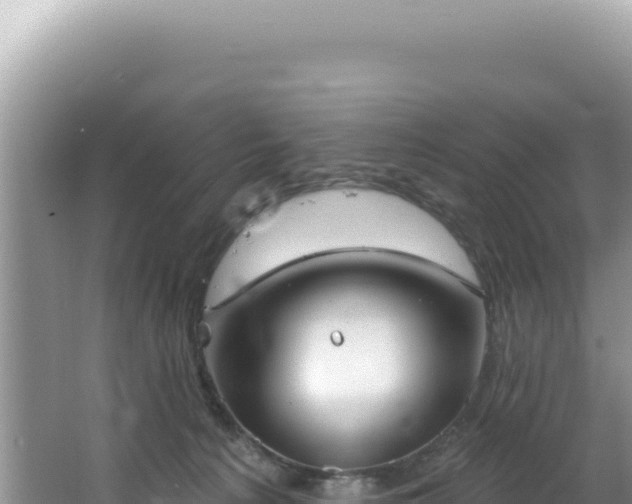 X0000064740225200602131324