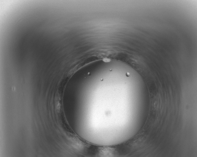 X0000064740226200602131324