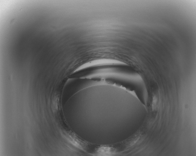 X0000064740227200602131324