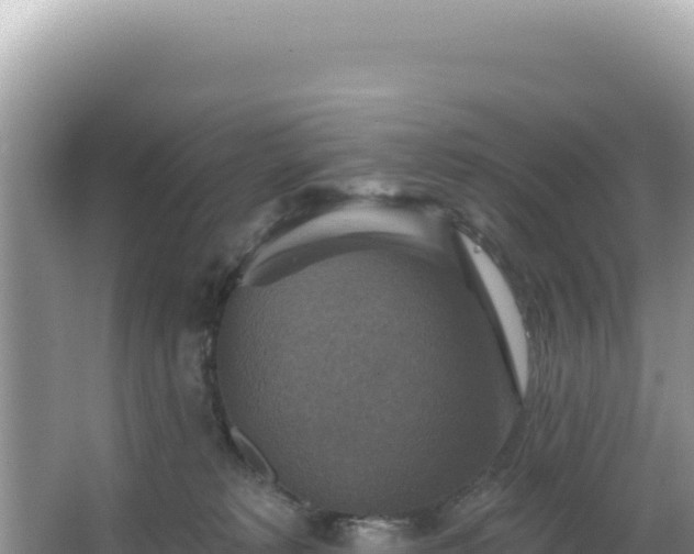 X0000064740229200602131324