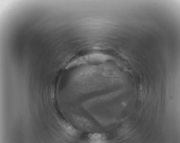 X0000064740230200602131324