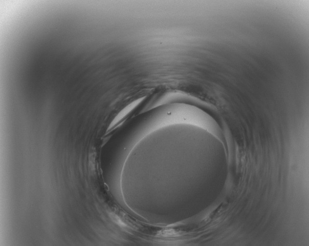 X0000064740231200602131324