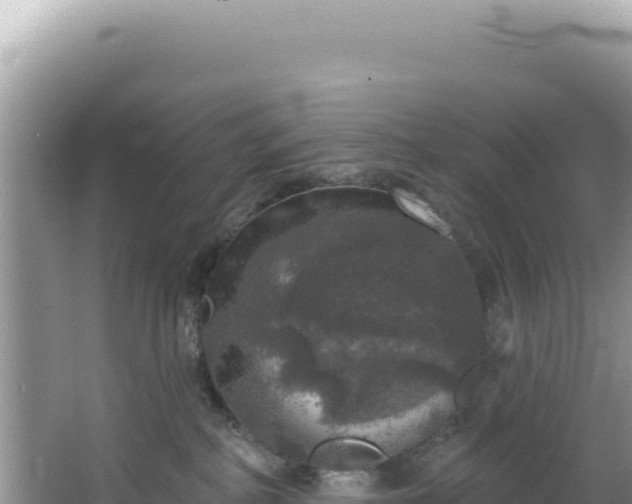 X0000064740234200602131324