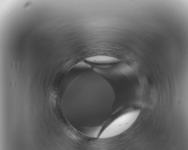 X0000064740235200602131324