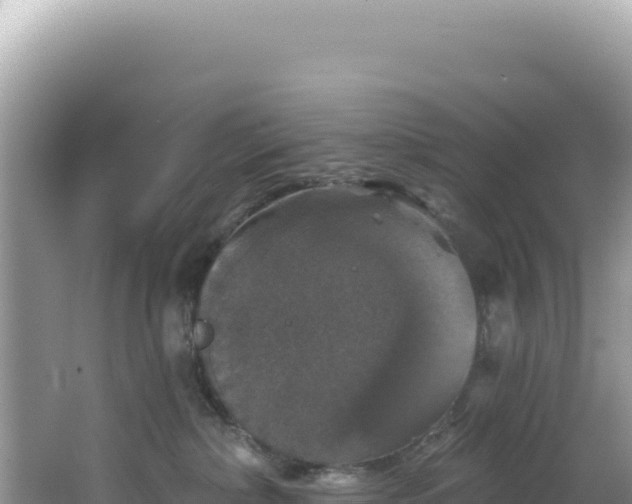 X0000064740236200602131324