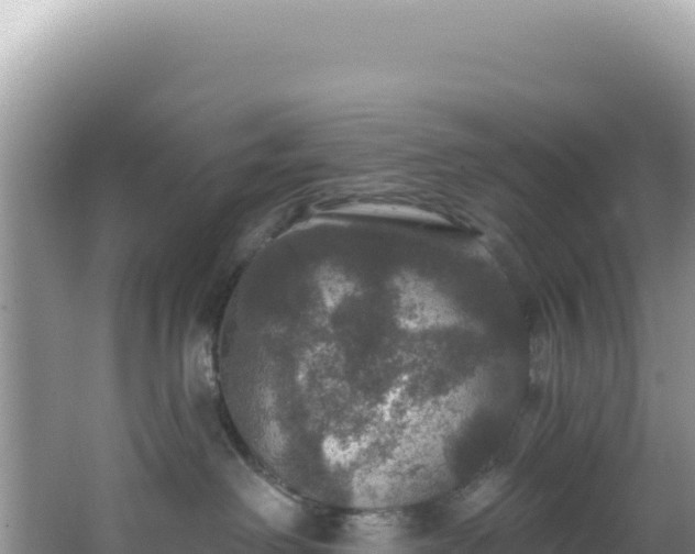 X0000064740238200602131324