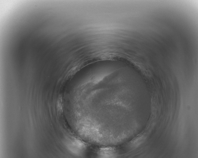 X0000064740240200602131324