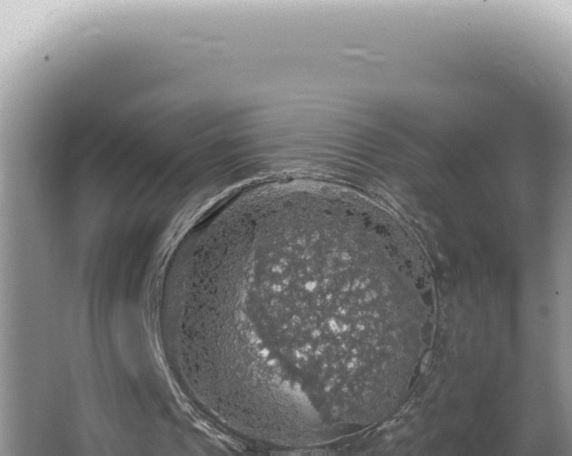 X0000064740241200602131323