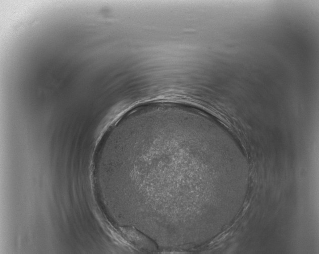 X0000064740242200602131323