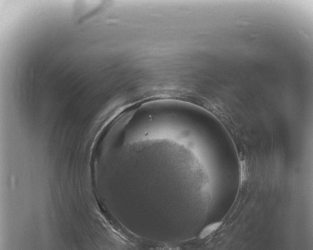 X0000064740243200602131323