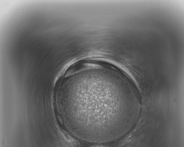 X0000064740244200602131323