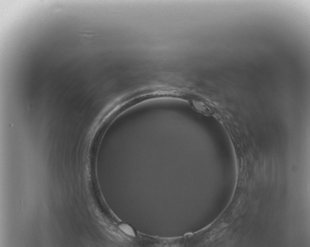 X0000064740247200602131323