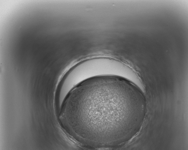 X0000064740248200602131323