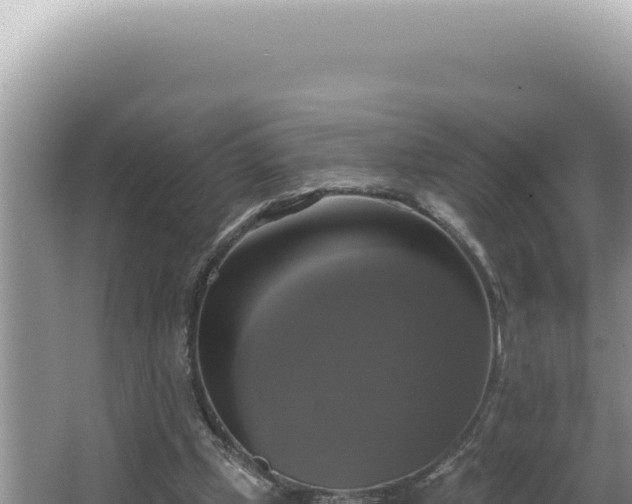 X0000064740249200602131323