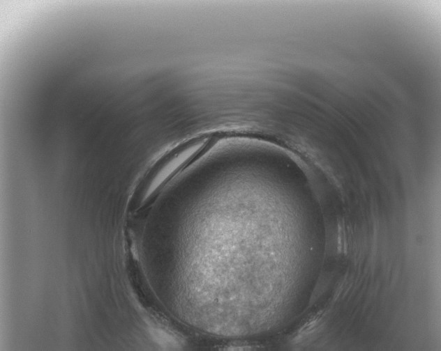 X0000064740252200602131323