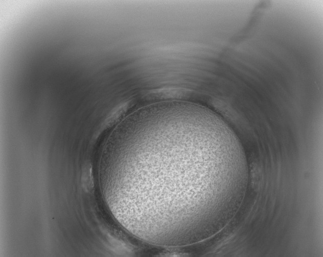 X0000064740254200602131323