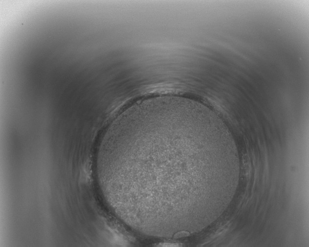 X0000064740255200602131323