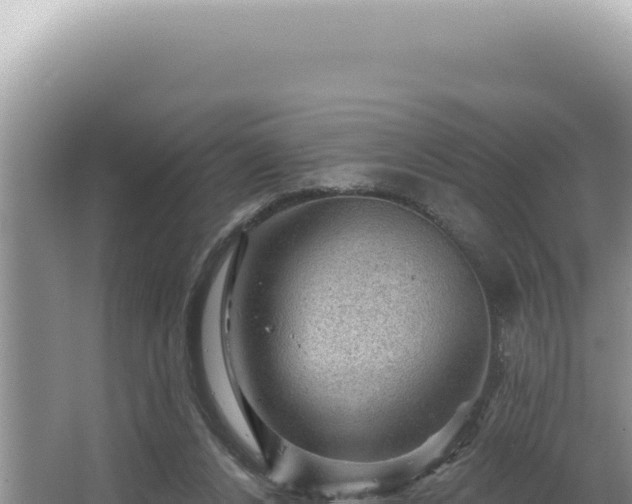 X0000064740256200602131323