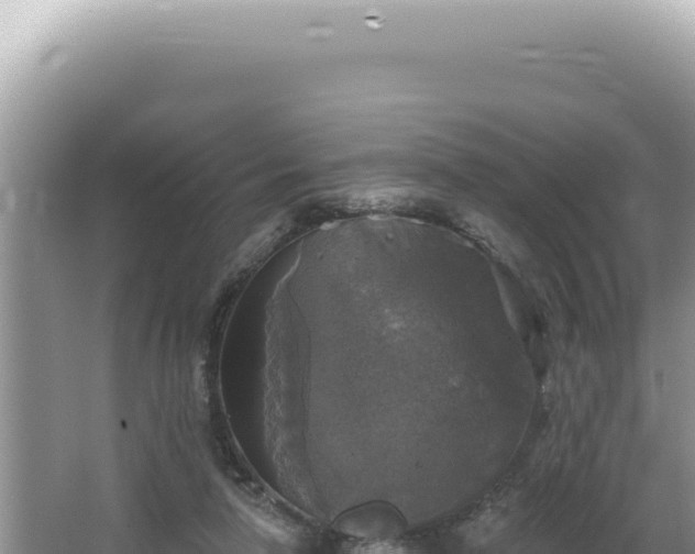 X0000064740258200602131323