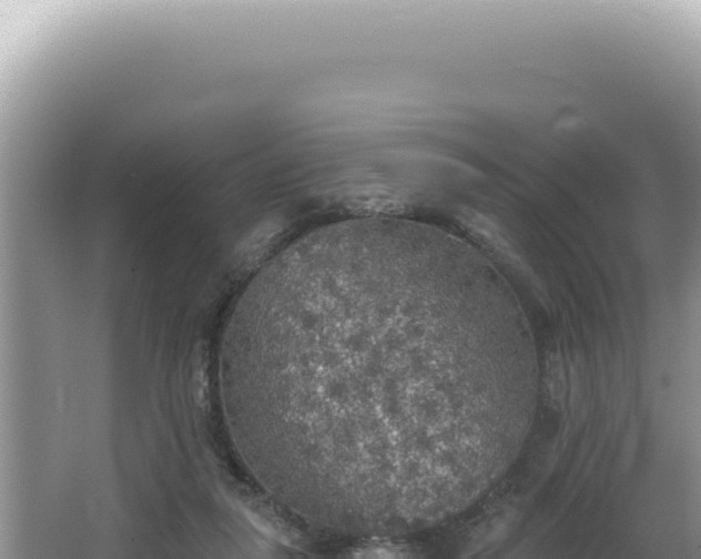 X0000064740259200602131324