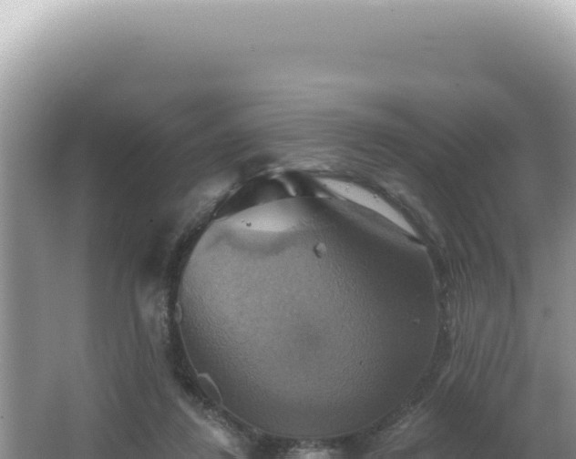 X0000064740260200602131324