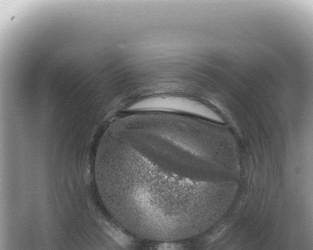 X0000064740261200602131324