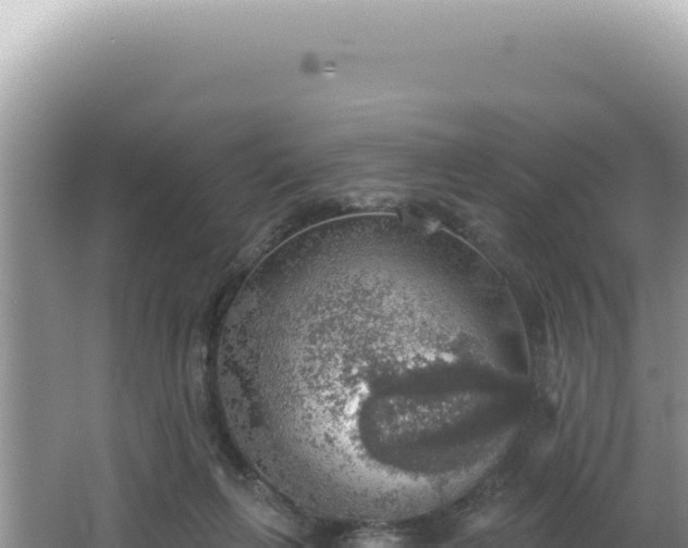 X0000064740263200602131324