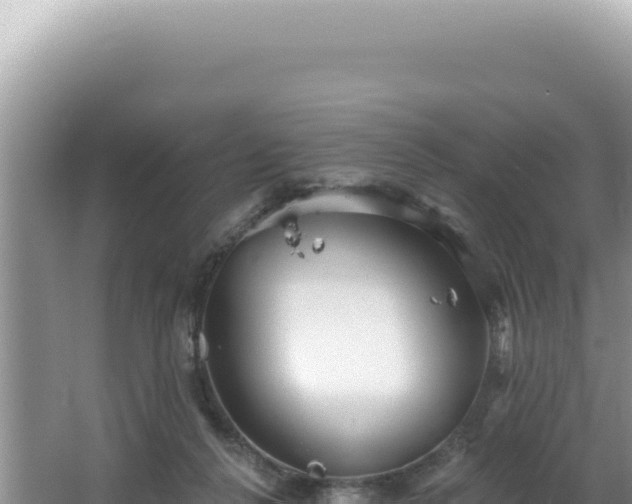 X0000064740264200602131324