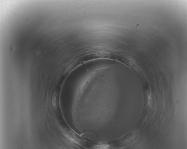 X0000064740266200602131324