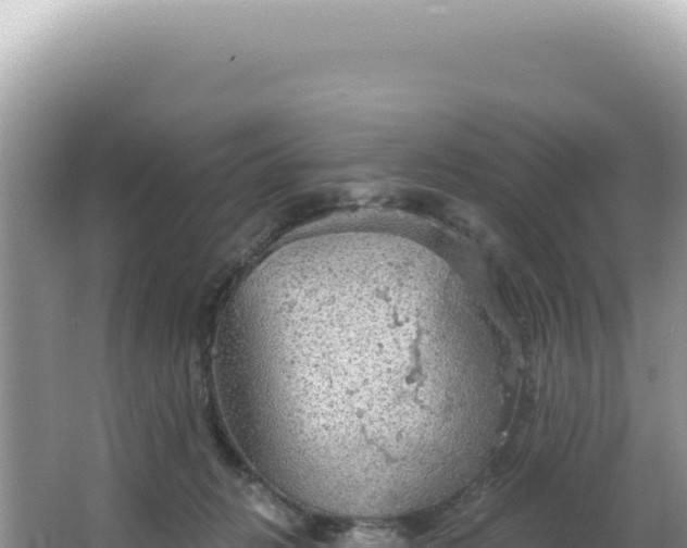 X0000064740270200602131324