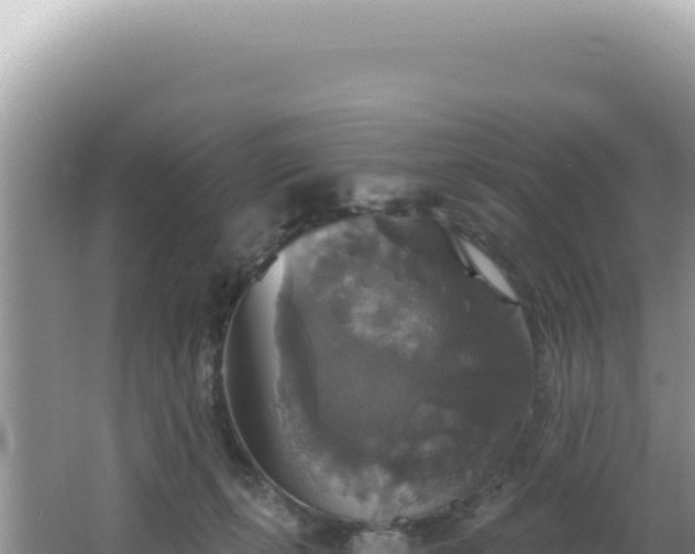 X0000064740271200602131324