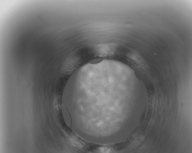 X0000064740272200602131324