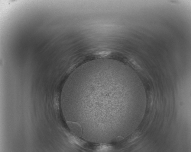 X0000064740274200602131324