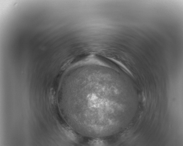 X0000064740276200602131324