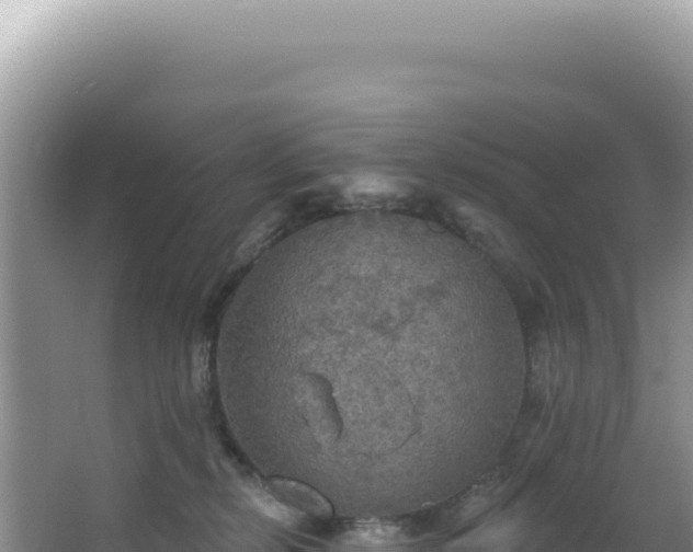 X0000064740278200602131324