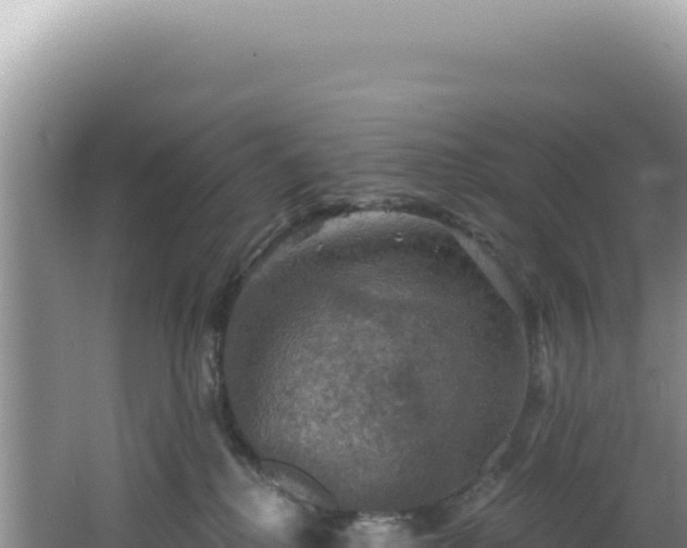 X0000064740280200602131324