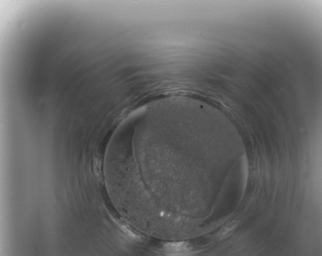 X0000064740281200602131324