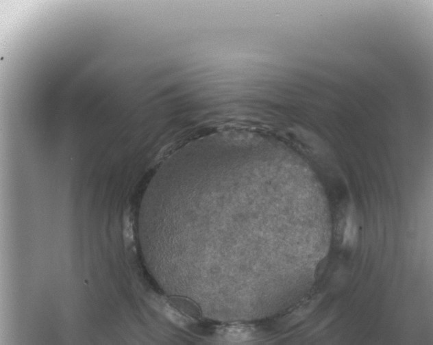 X0000064740282200602131324