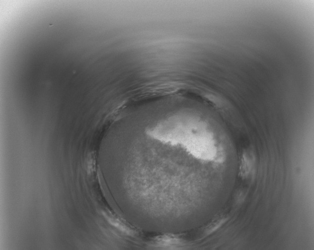 X0000064740284200602131324