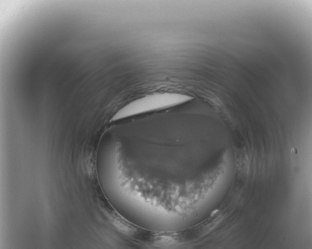 X0000064740285200602131324