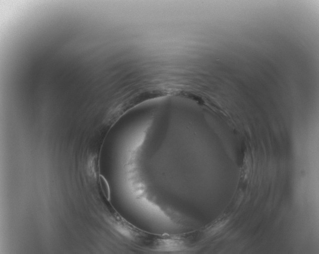 X0000064740286200602131324