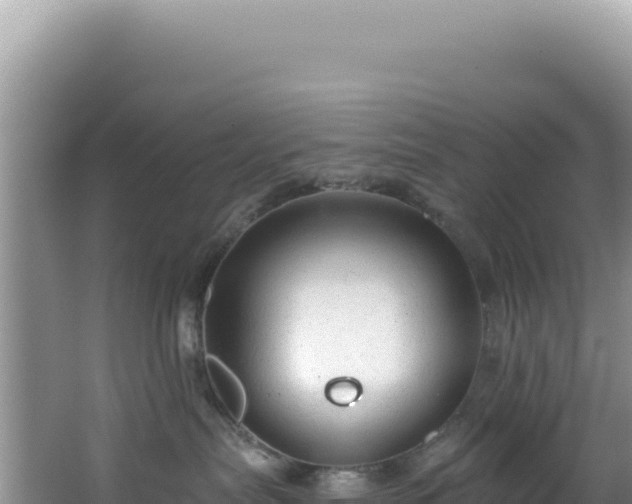 X0000064740287200602131324