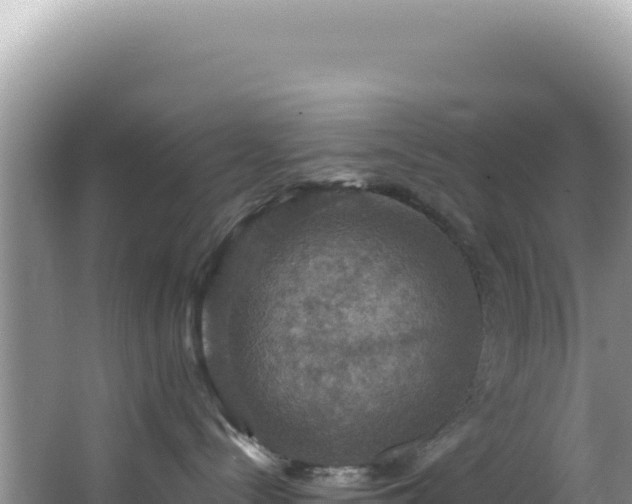 X0000064740288200602131324